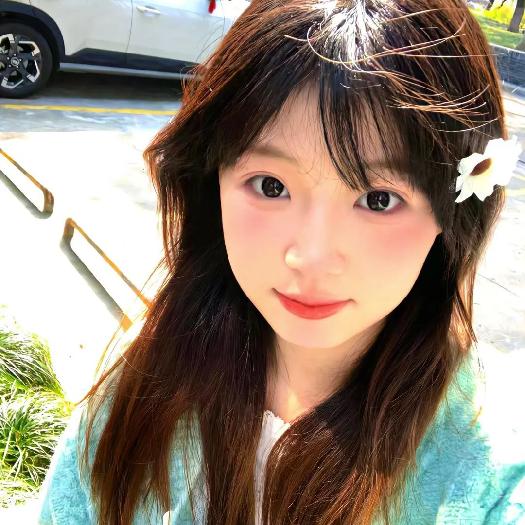 小鲤鱼历险记
