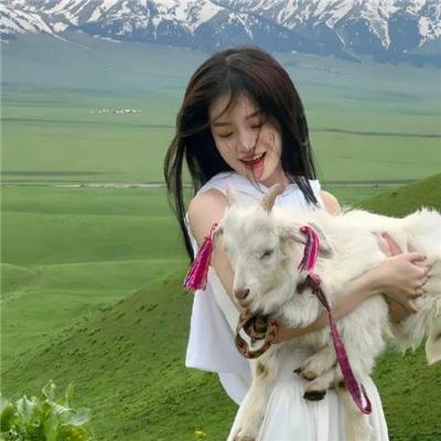 圣山村谜局